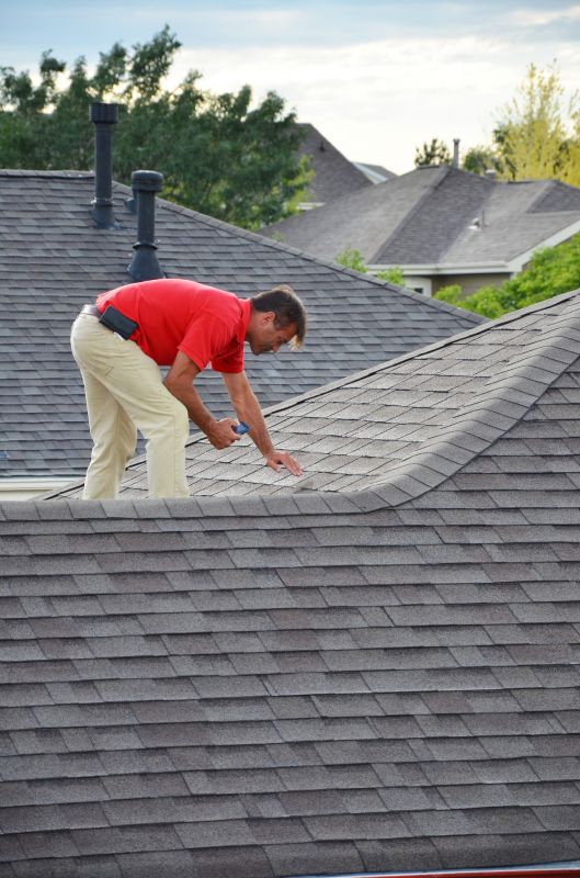 Inspection of roofing structure